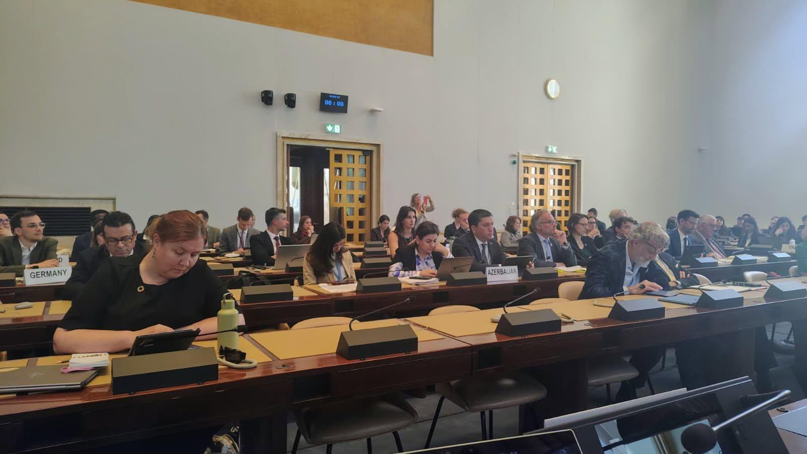 LA PROVINCIA DI POTENZA ALLE NAZIONI UNITE DI GINEVRA PER IL TAVOLO INTERNAZIONALE SULL’SDG 11