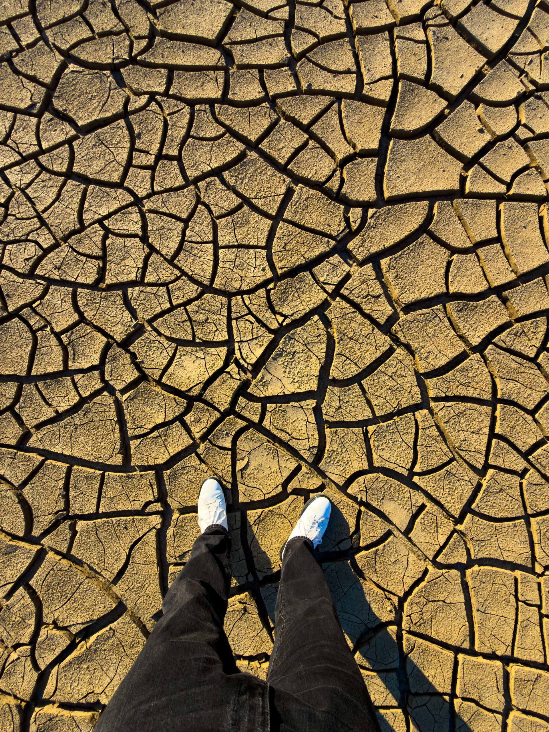 Emergenza climatica, approvata all’unanimità la mozione in Consiglio provinciale